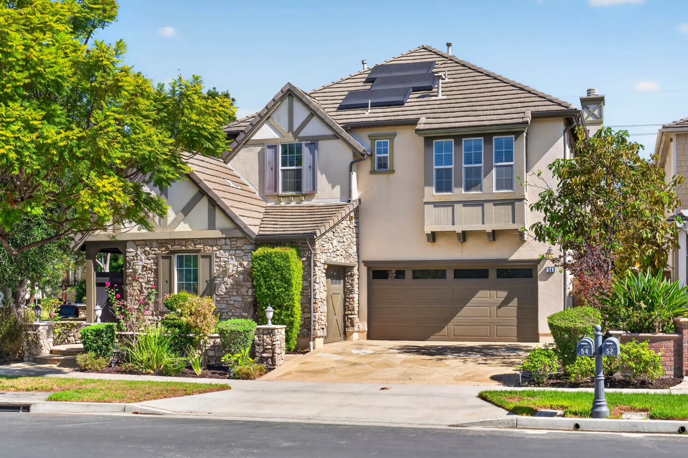 54 Desert Willow